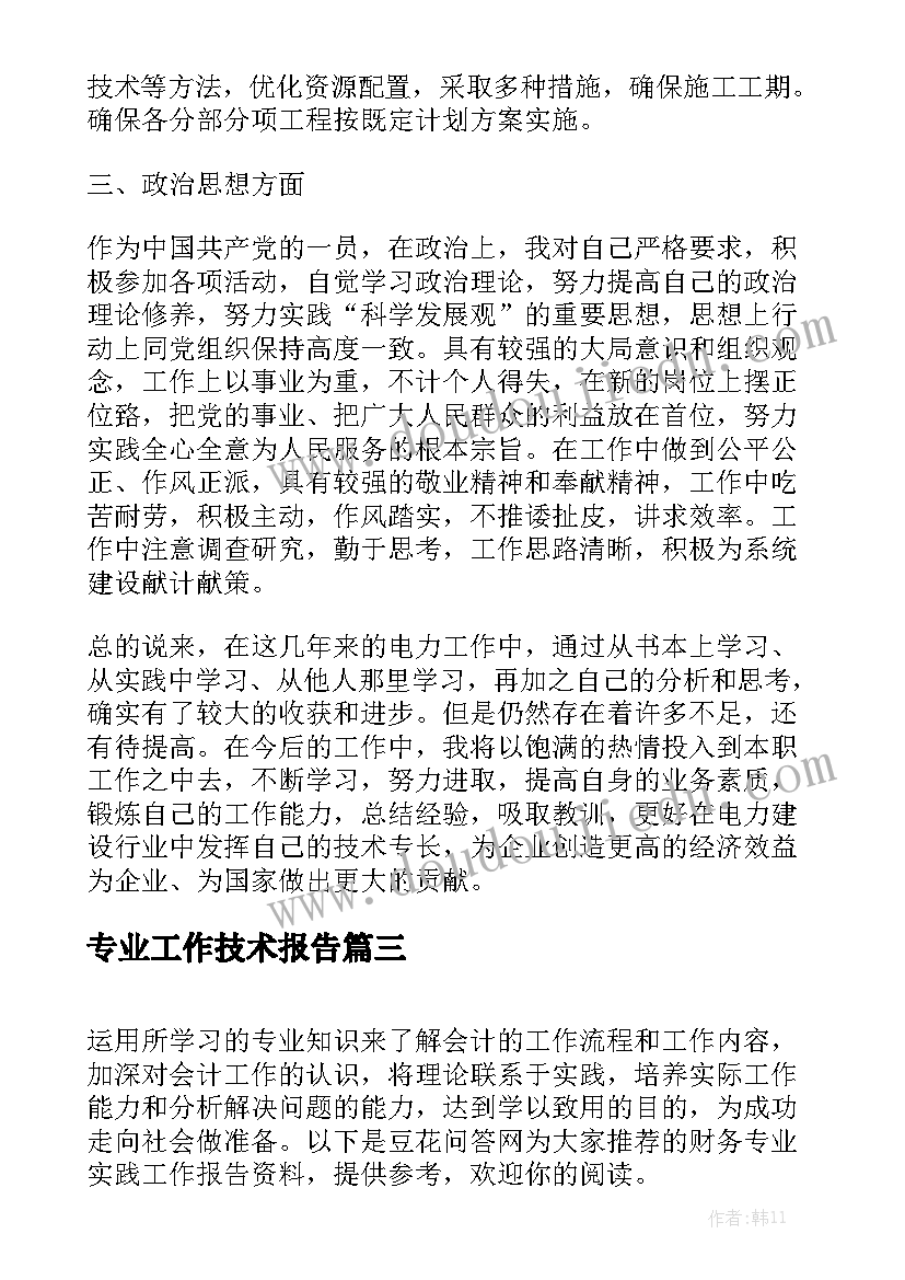 专业工作技术报告