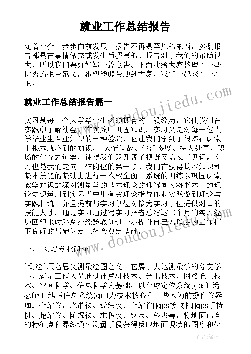 就业工作总结报告