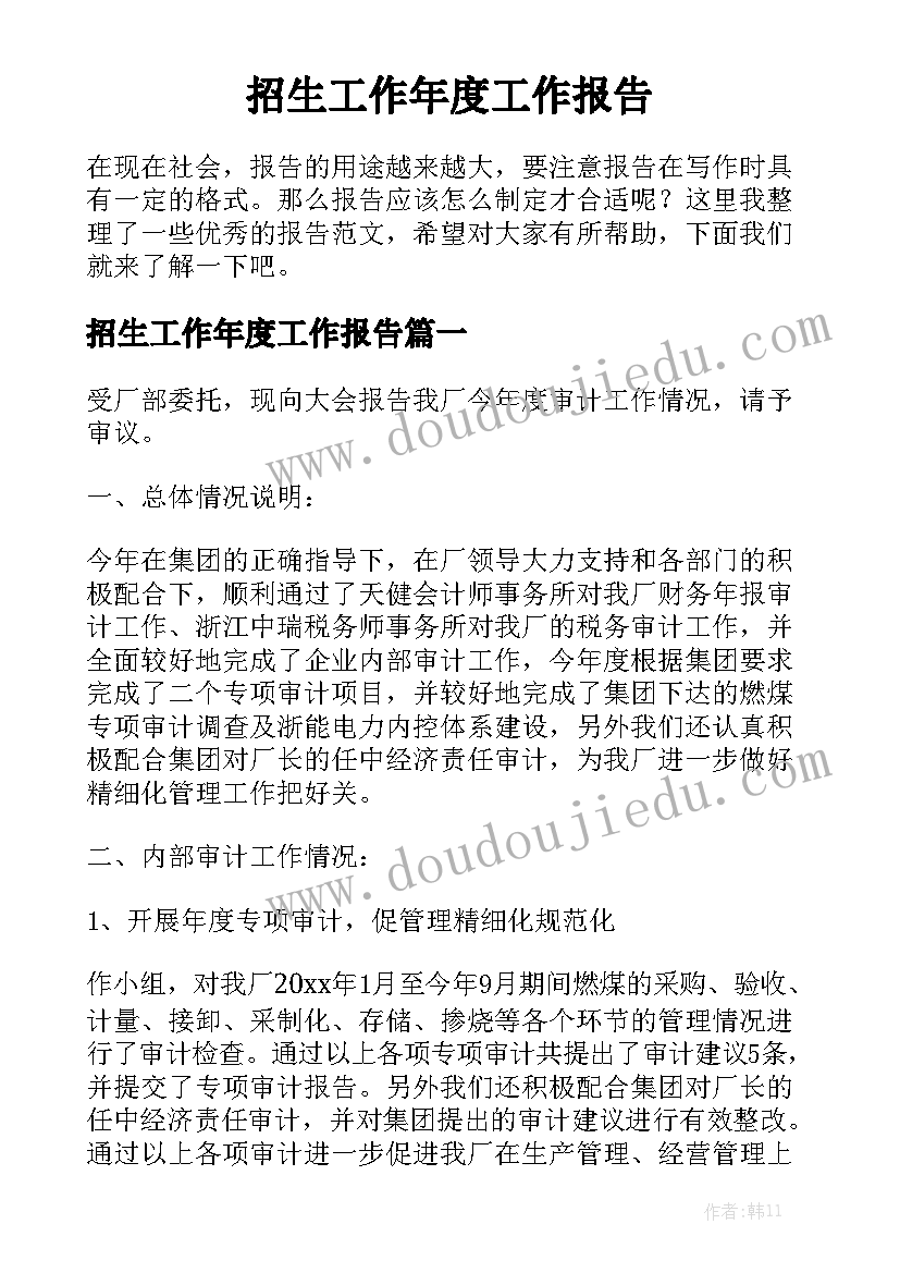 招生工作年度工作报告