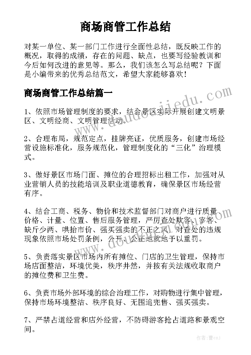 商场商管工作总结