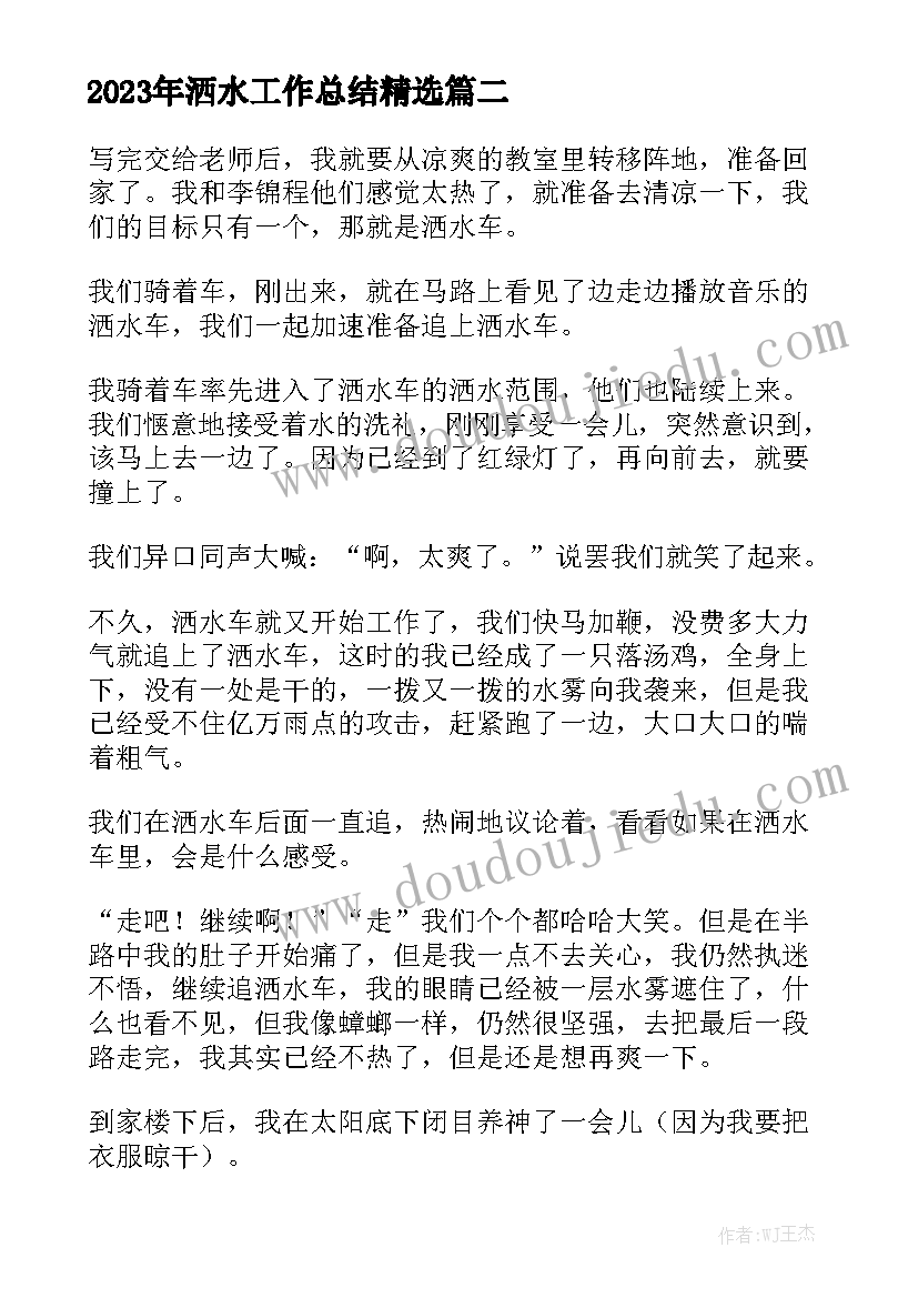 2023年洒水工作总结精选