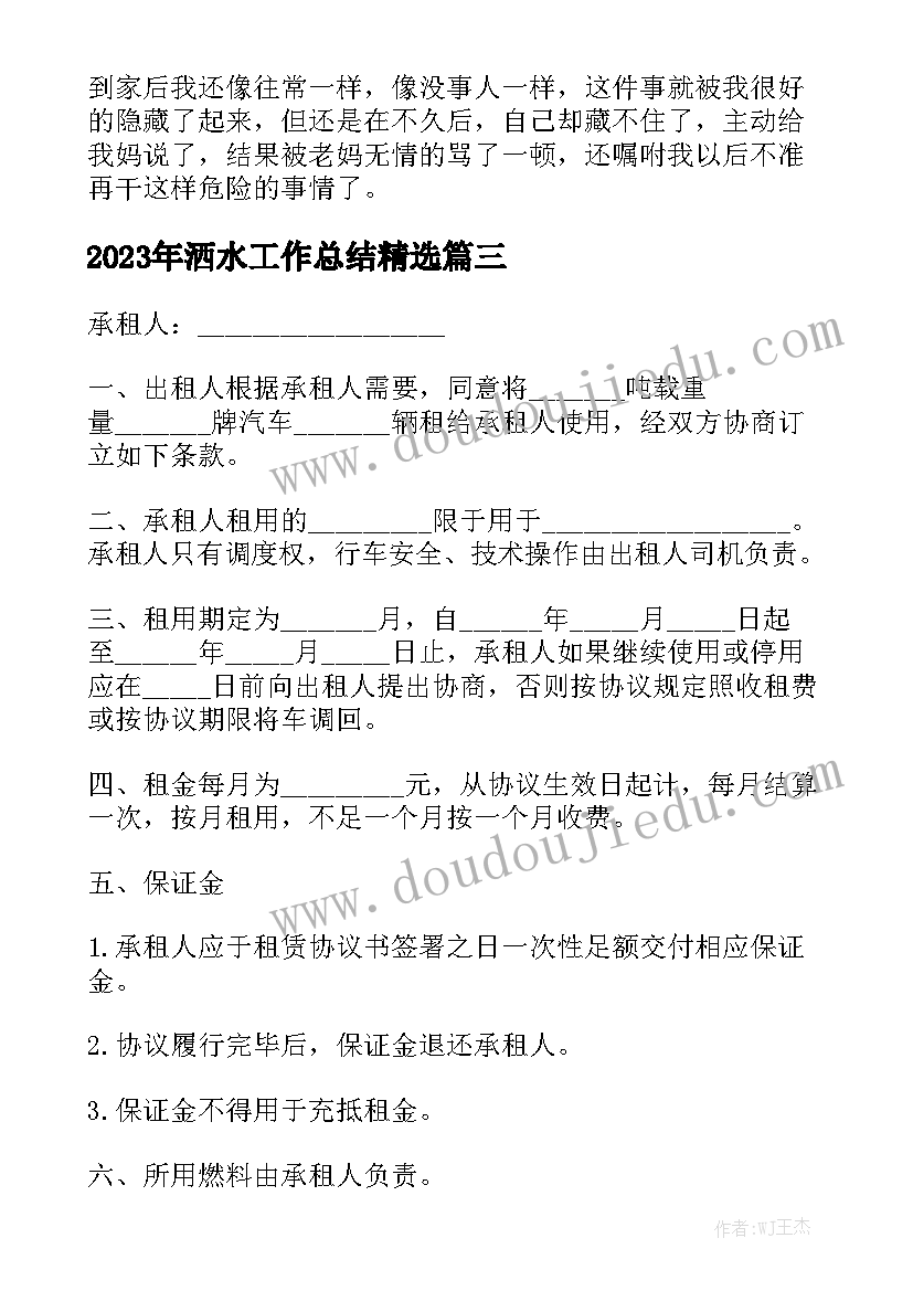 2023年洒水工作总结精选