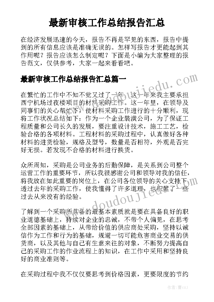 最新审核工作总结报告汇总