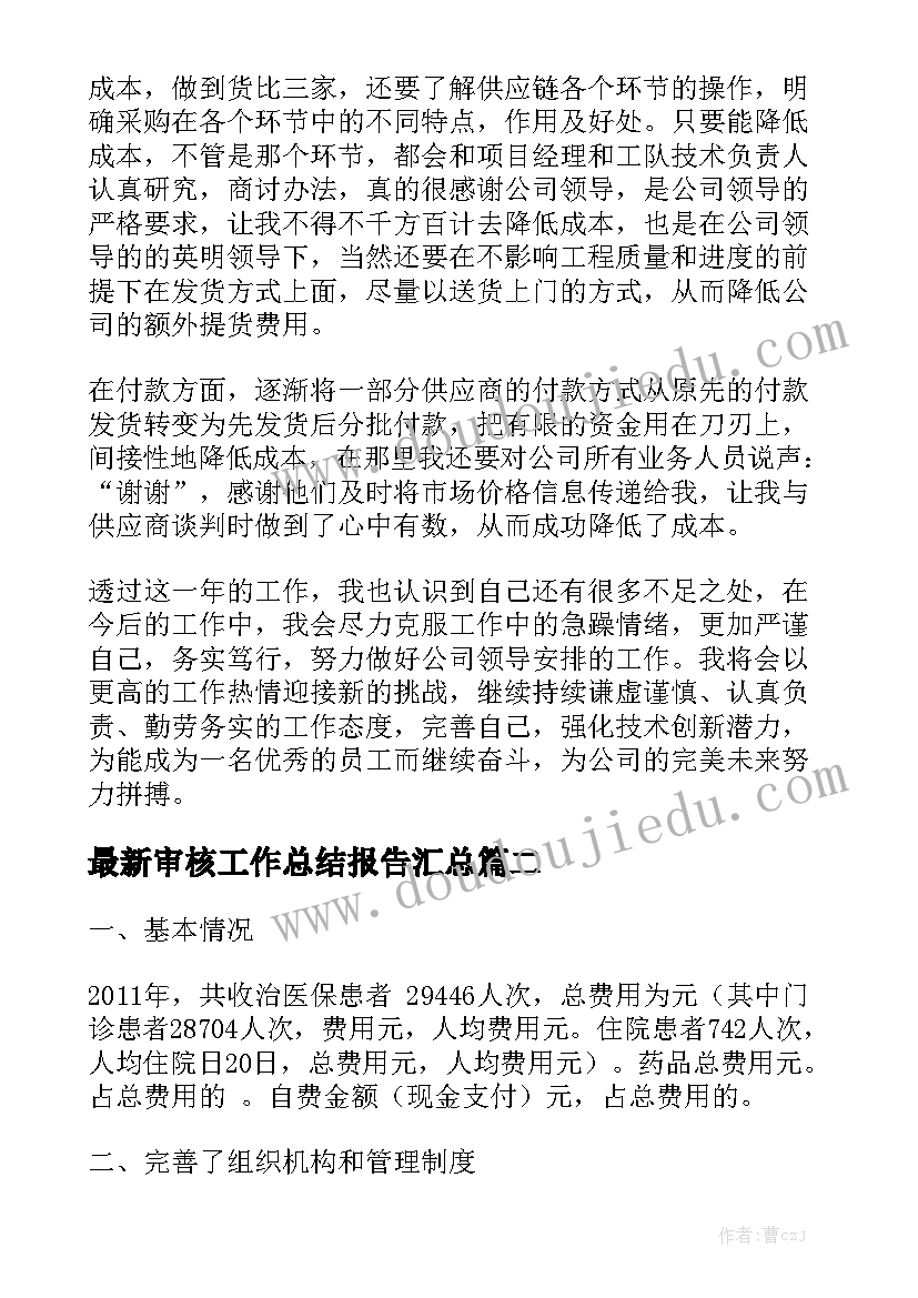 最新审核工作总结报告汇总