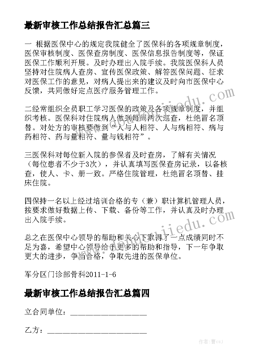 最新审核工作总结报告汇总