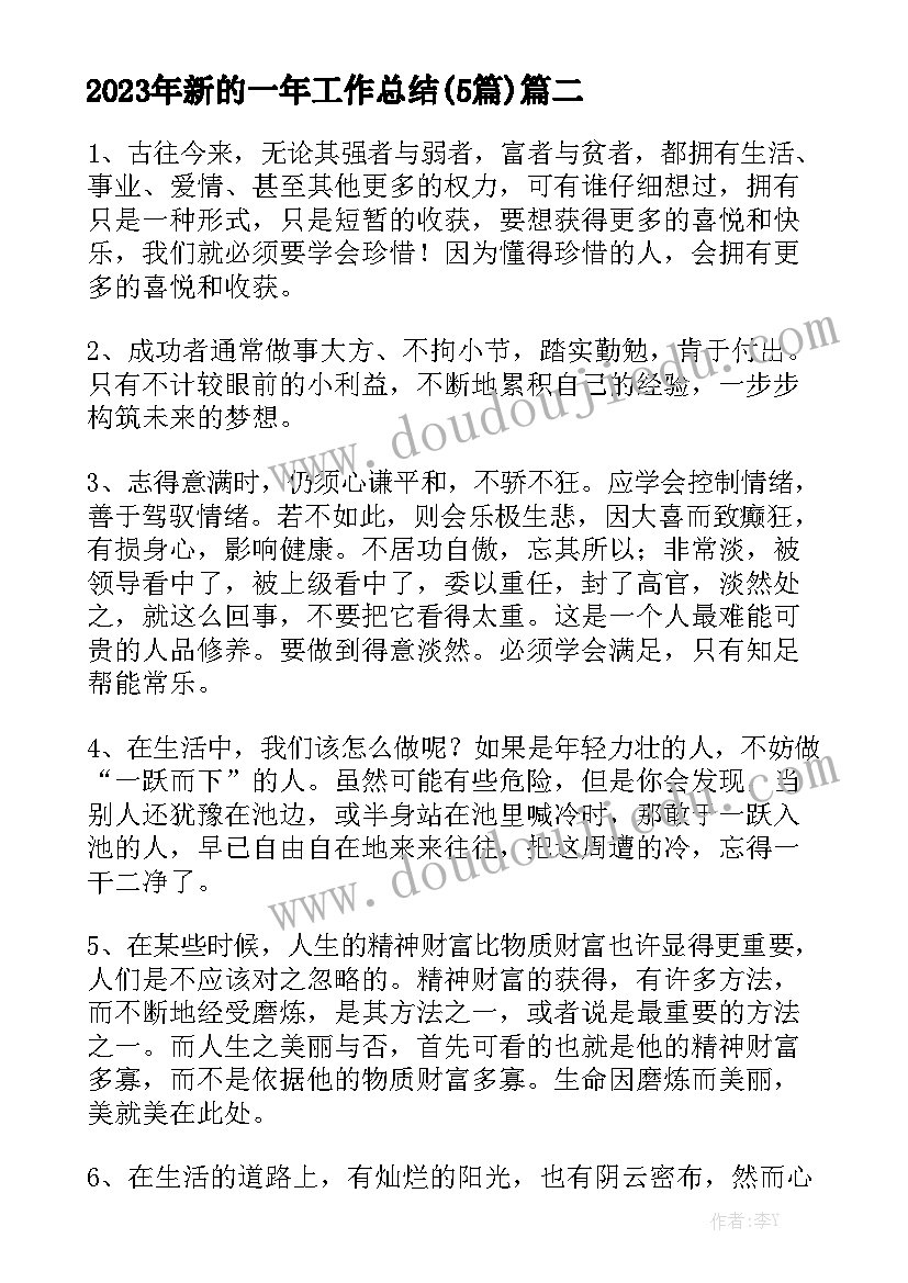 2023年新的一年工作总结(5篇)