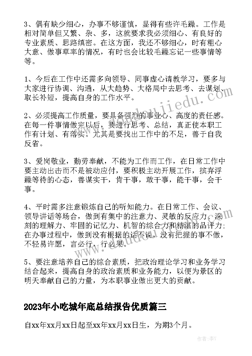 2023年小吃城年底总结报告优质