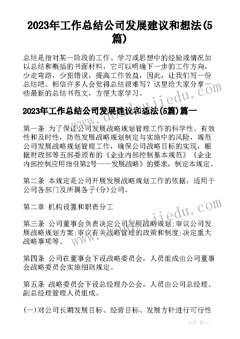 2023年工作总结公司发展建议和想法(5篇)