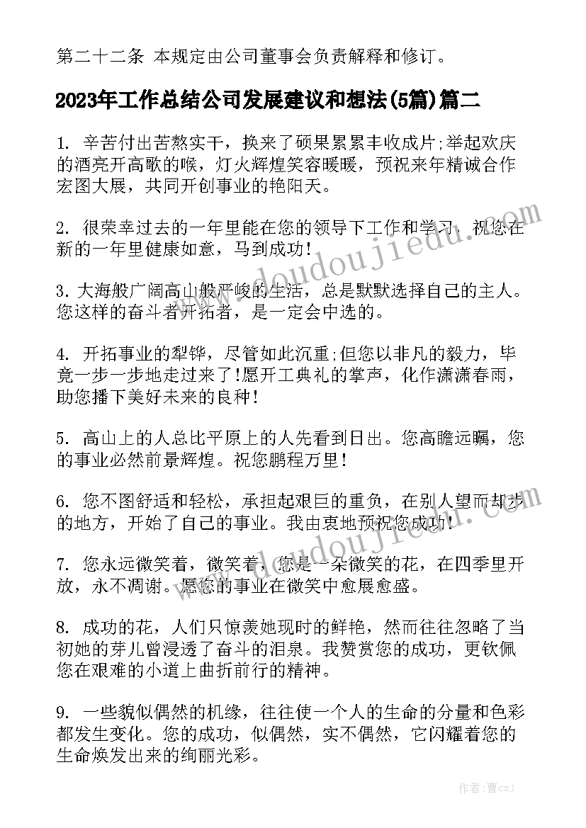 2023年工作总结公司发展建议和想法(5篇)