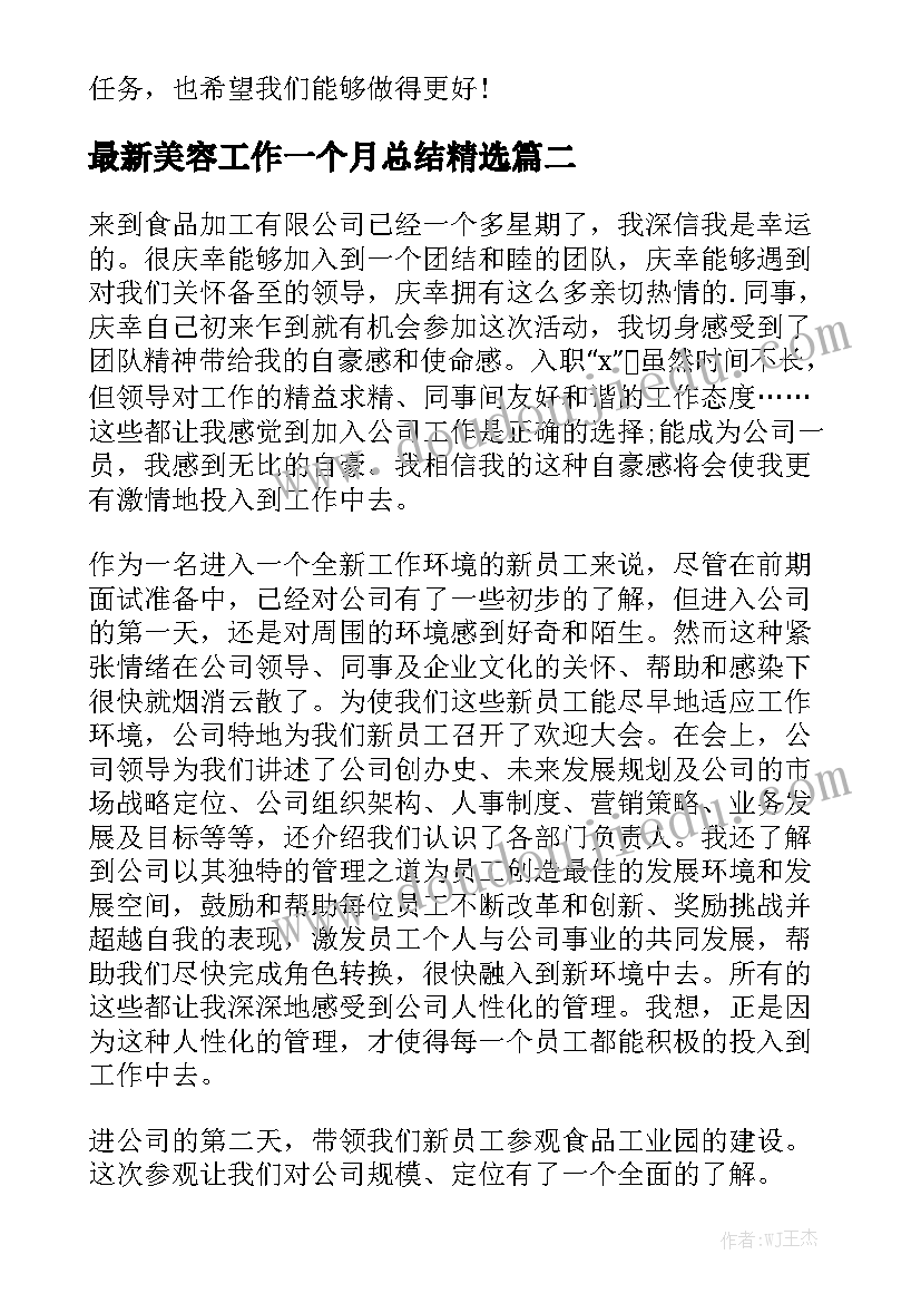 最新美容工作一个月总结精选