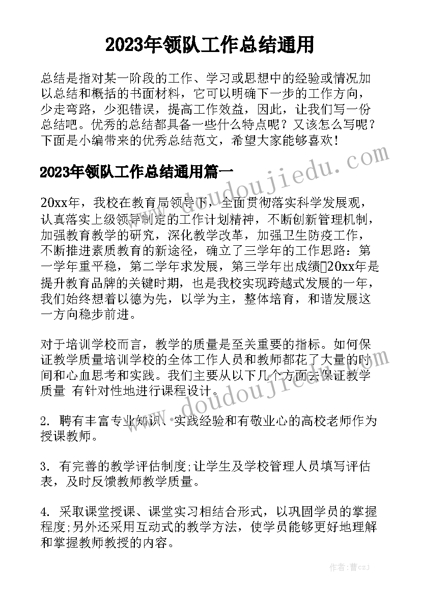 2023年领队工作总结通用