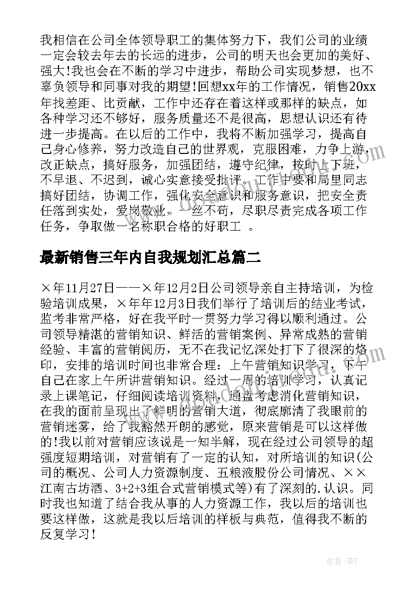 最新销售三年内自我规划汇总