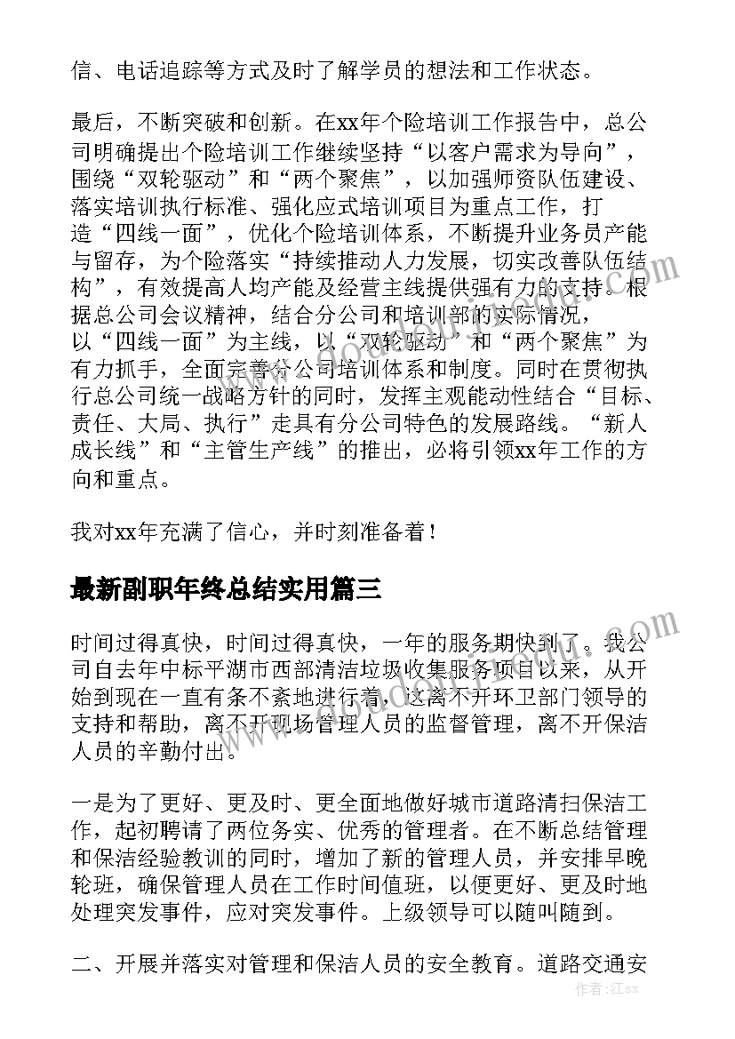 最新副职年终总结实用