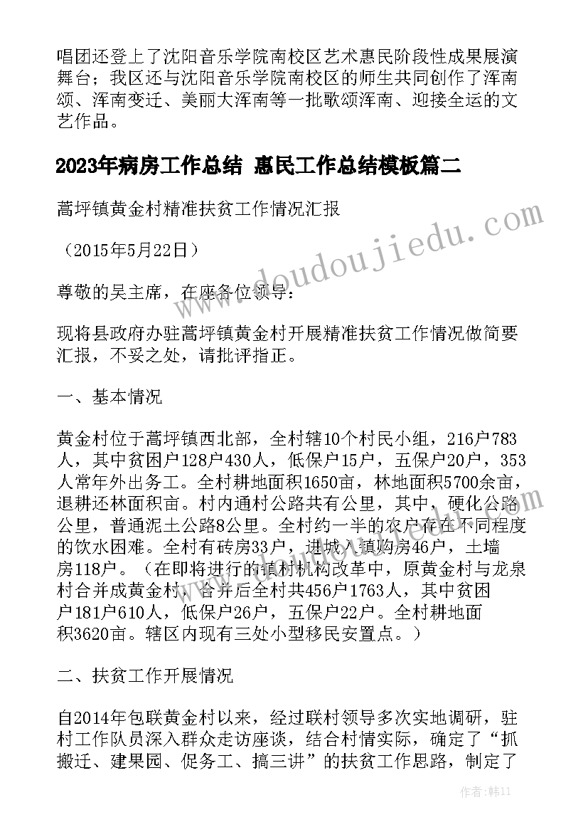 2023年病房工作总结 惠民工作总结模板