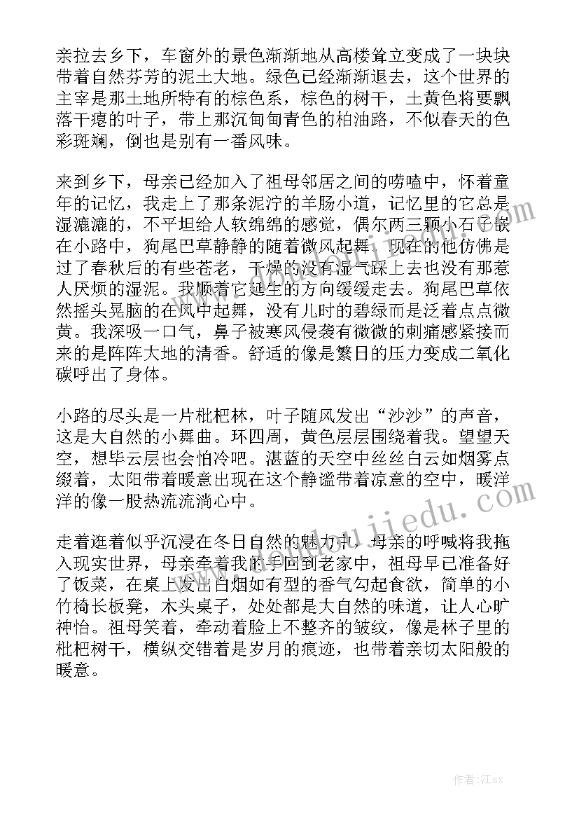 最新暖冬活动总结通用