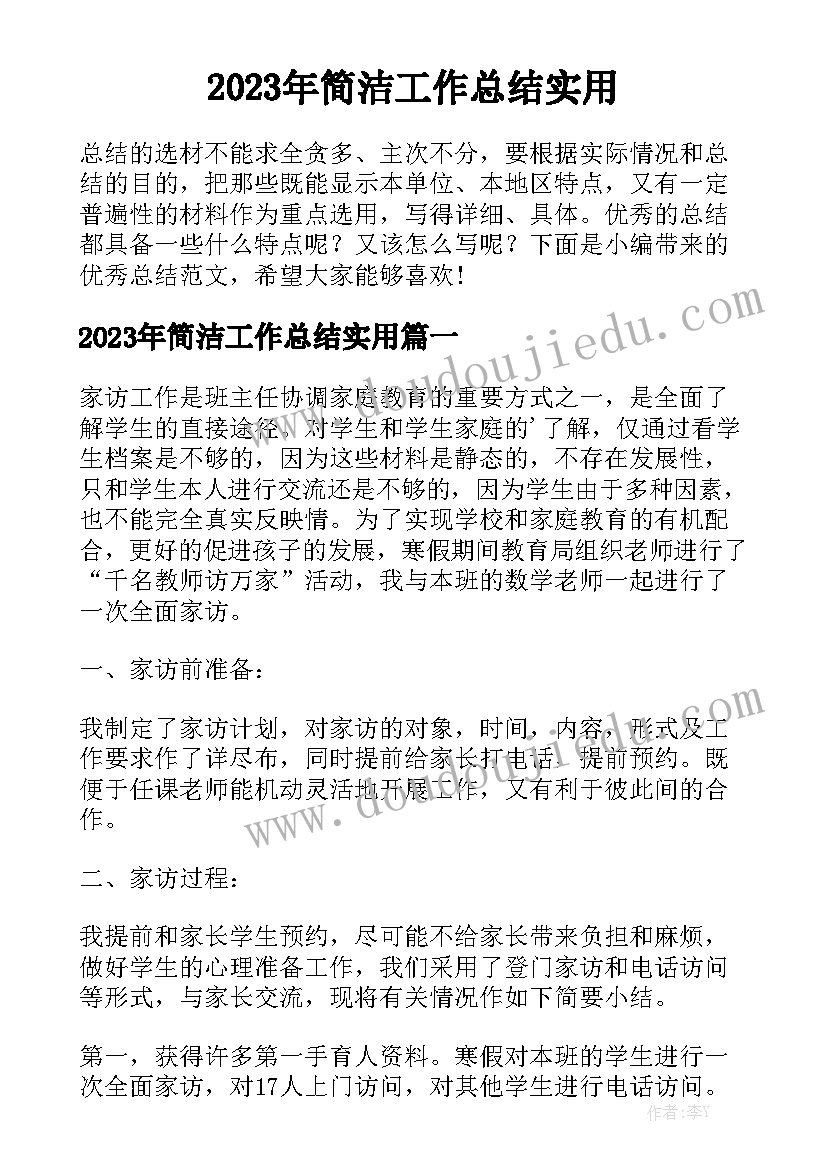 2023年简洁工作总结实用