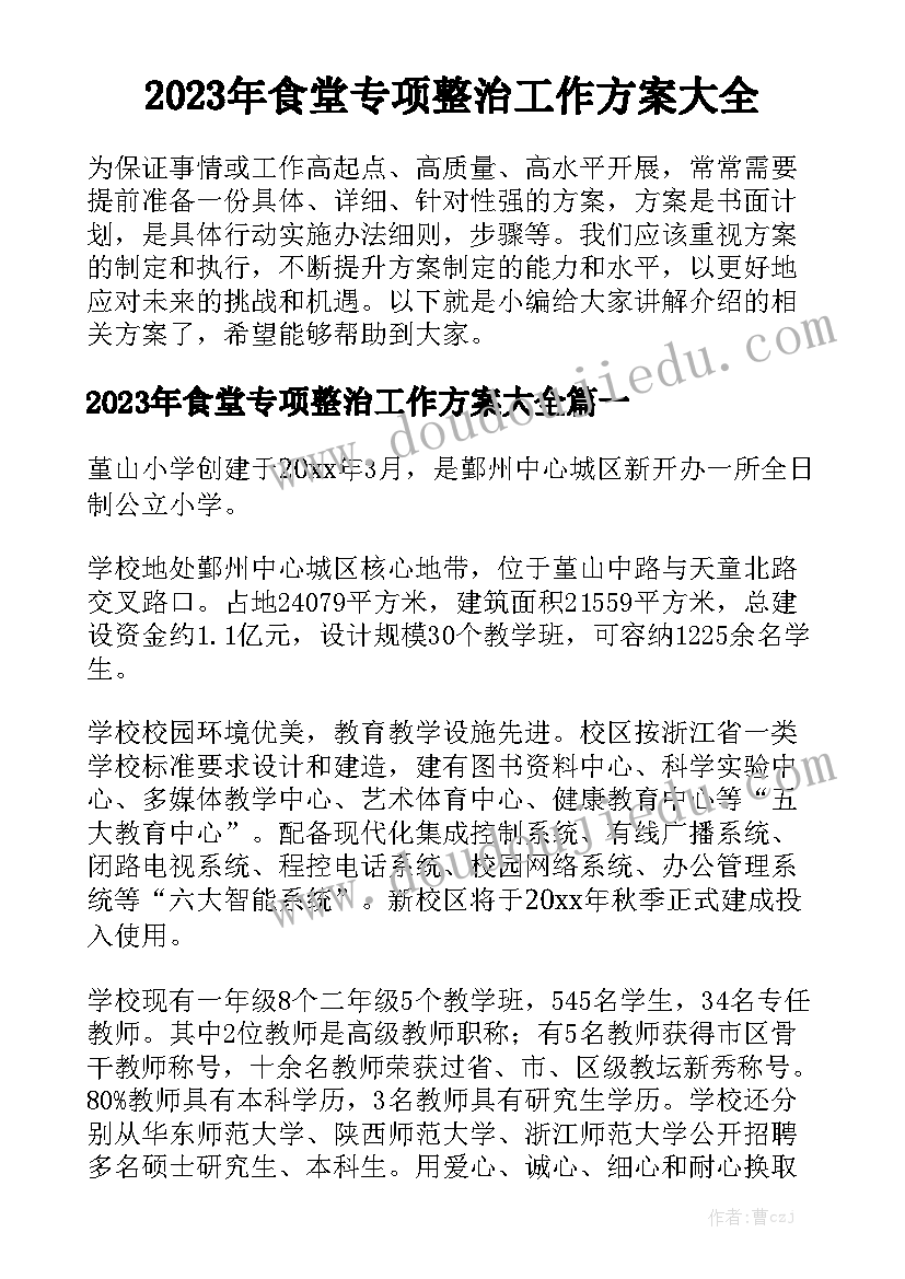 2023年食堂专项整治工作方案大全