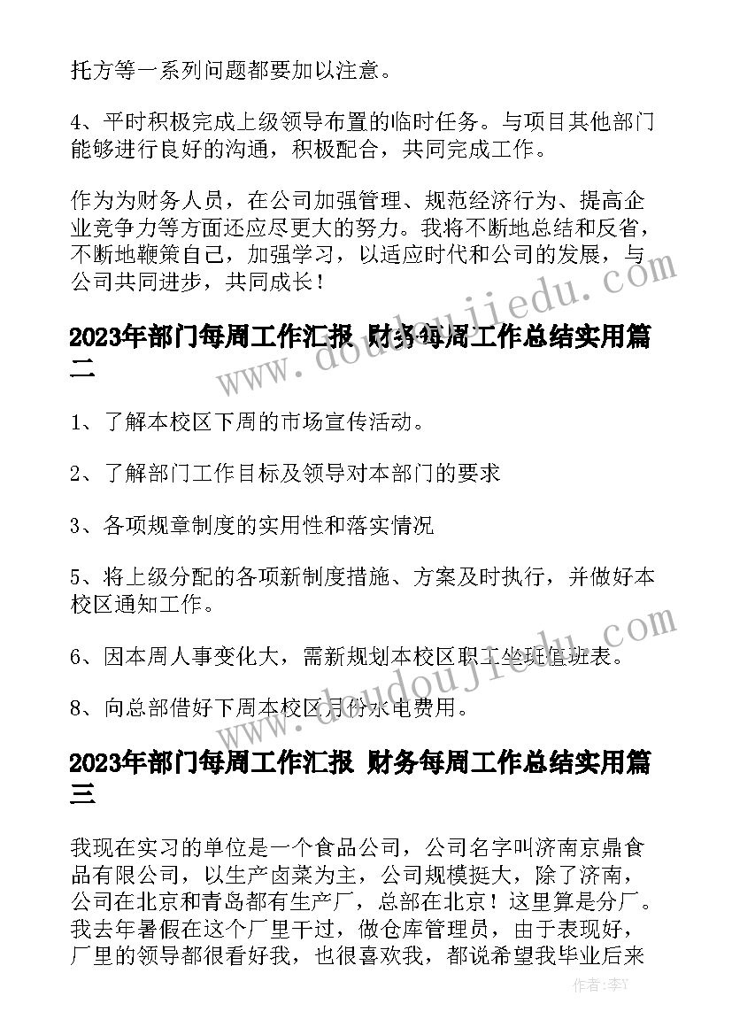 2023年部门每周工作汇报 财务每周工作总结实用