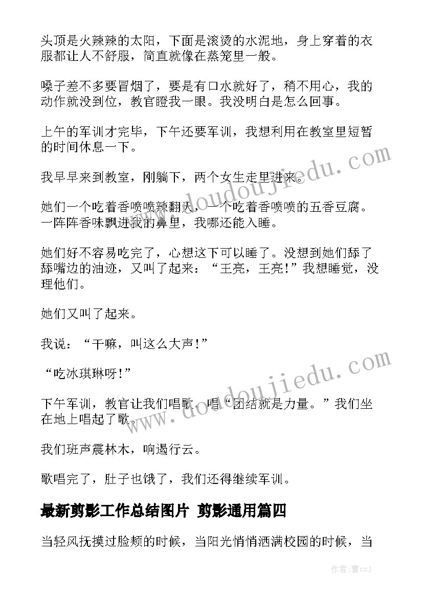 最新机械试用期总结报告 试用期间个人工作总结试用期工作总结(精选7篇)