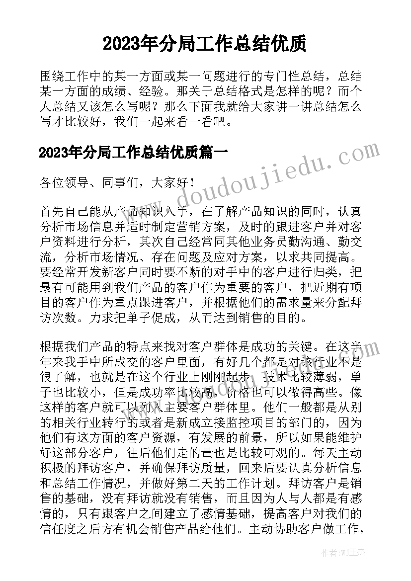 2023年分局工作总结优质