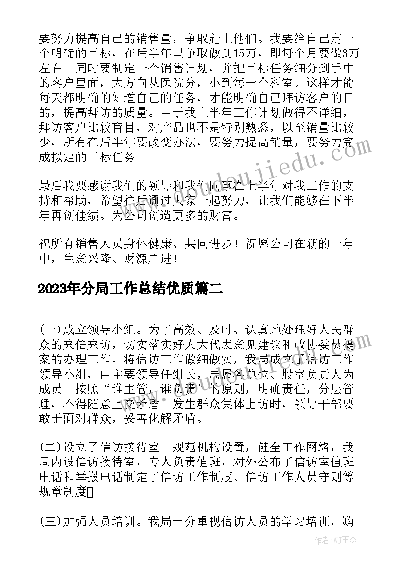 2023年分局工作总结优质