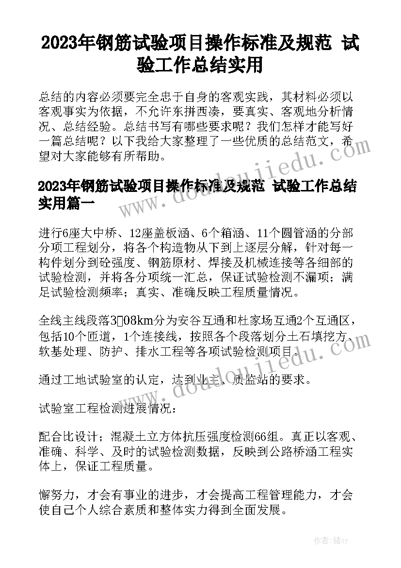 2023年钢筋试验项目操作标准及规范 试验工作总结实用