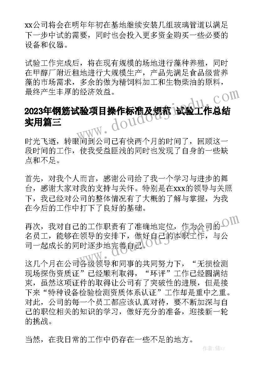 2023年钢筋试验项目操作标准及规范 试验工作总结实用