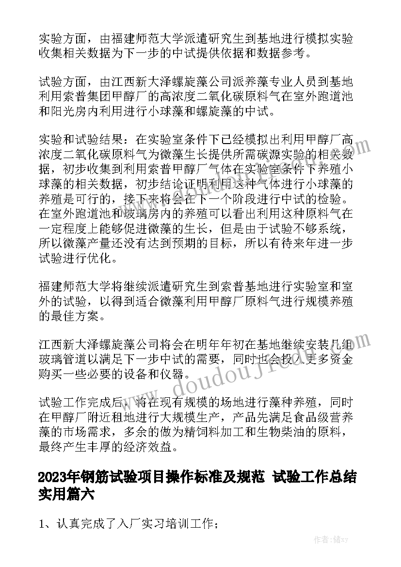 2023年钢筋试验项目操作标准及规范 试验工作总结实用