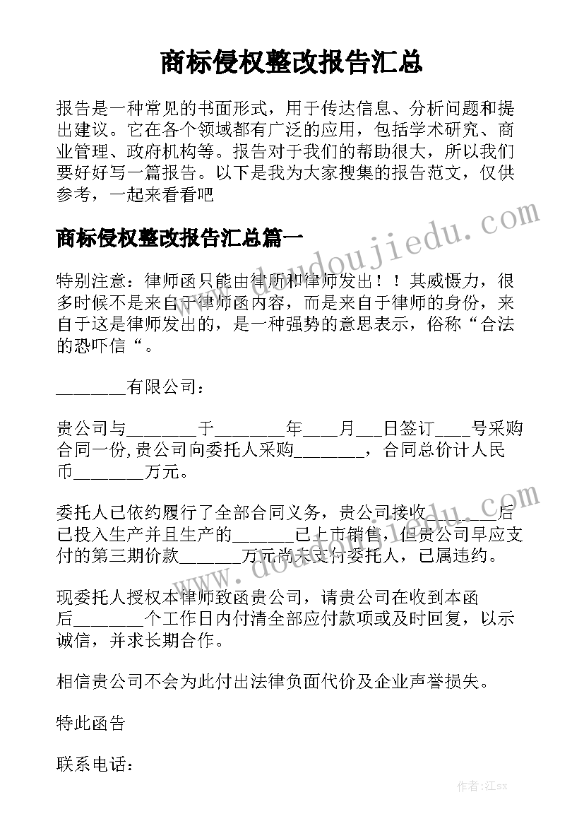 商标侵权整改报告汇总