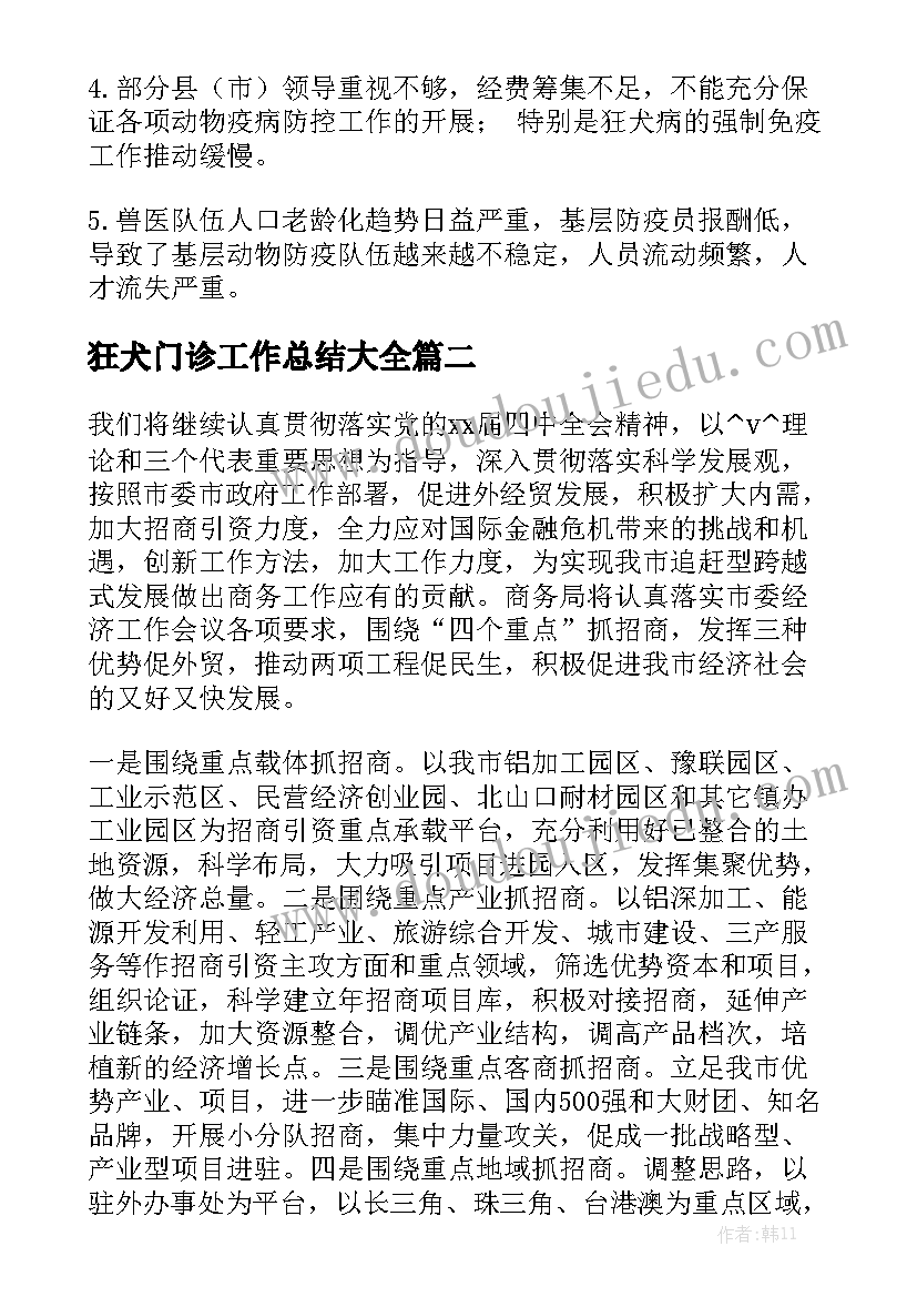 狂犬门诊工作总结大全