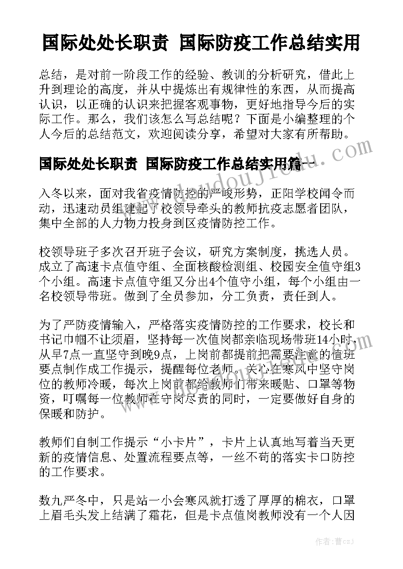 国际处处长职责 国际防疫工作总结实用