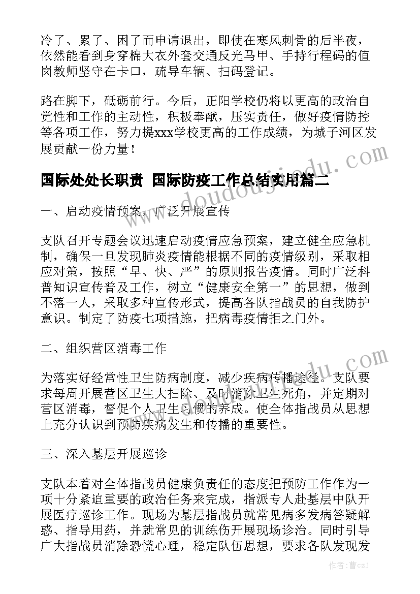 国际处处长职责 国际防疫工作总结实用