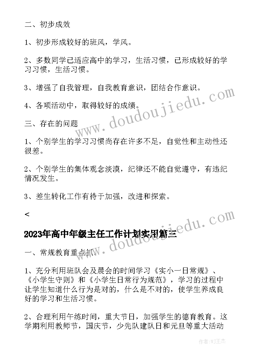 2023年高中年级主任工作计划实用