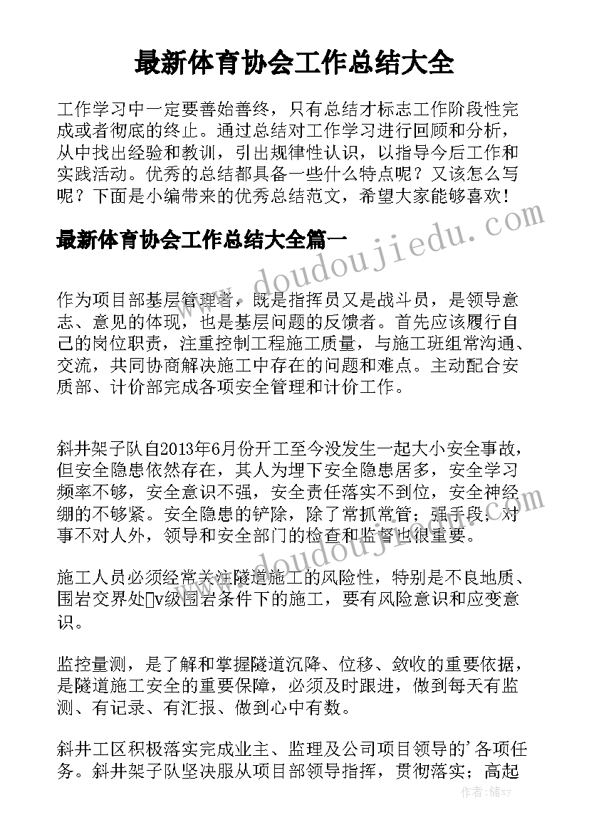 最新体育协会工作总结大全