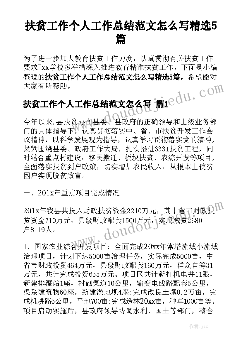 扶贫工作个人工作总结范文怎么写精选5篇