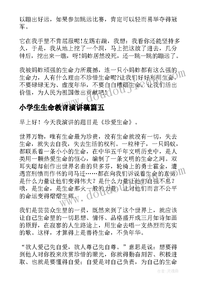 2023年小学生生命教育演讲稿(实用8篇)