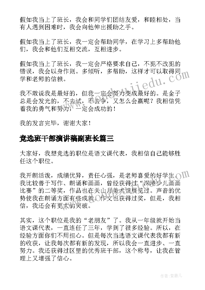 2023年竞选班干部演讲稿副班长(模板9篇)