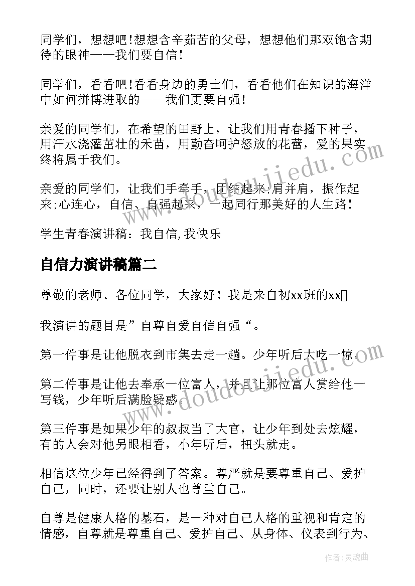 自信力演讲稿(优秀5篇)