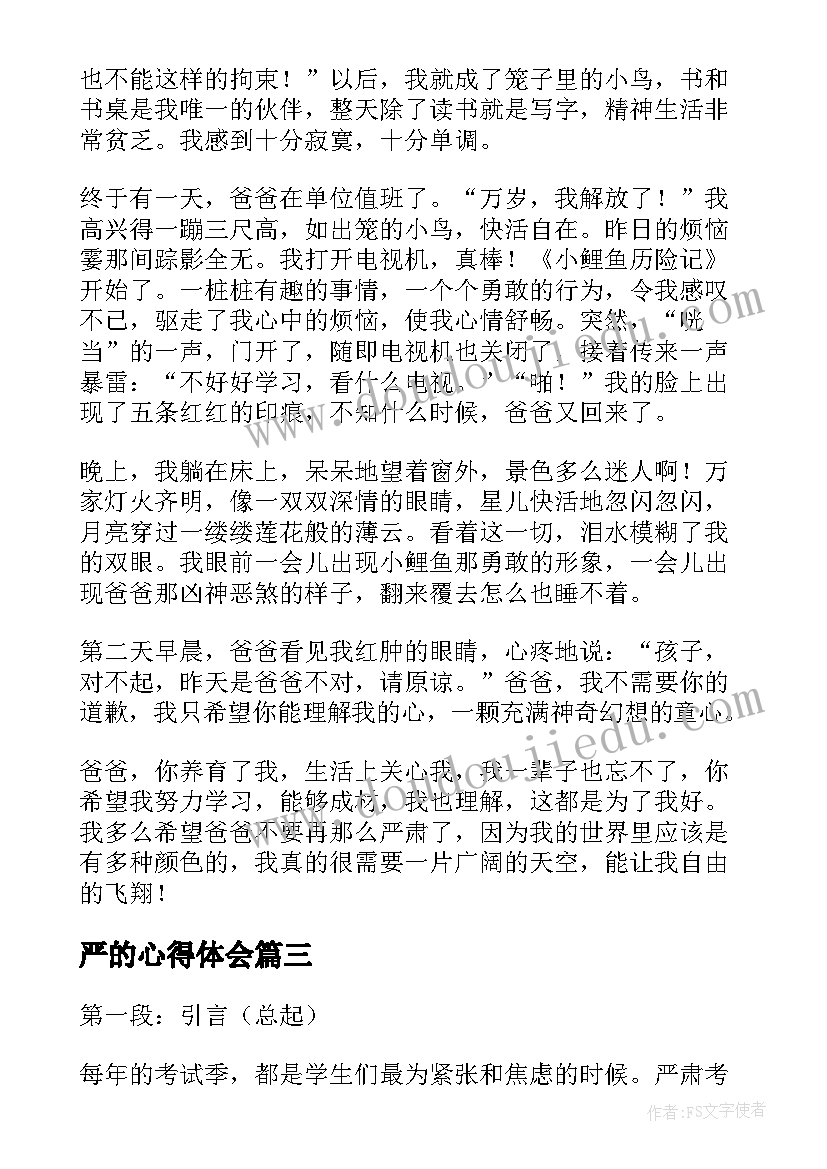 最新严的心得体会(汇总5篇)