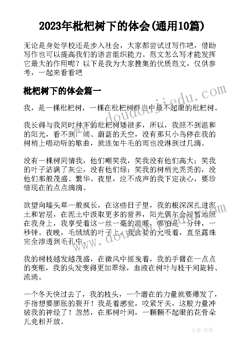 2023年枇杷树下的体会(通用10篇)