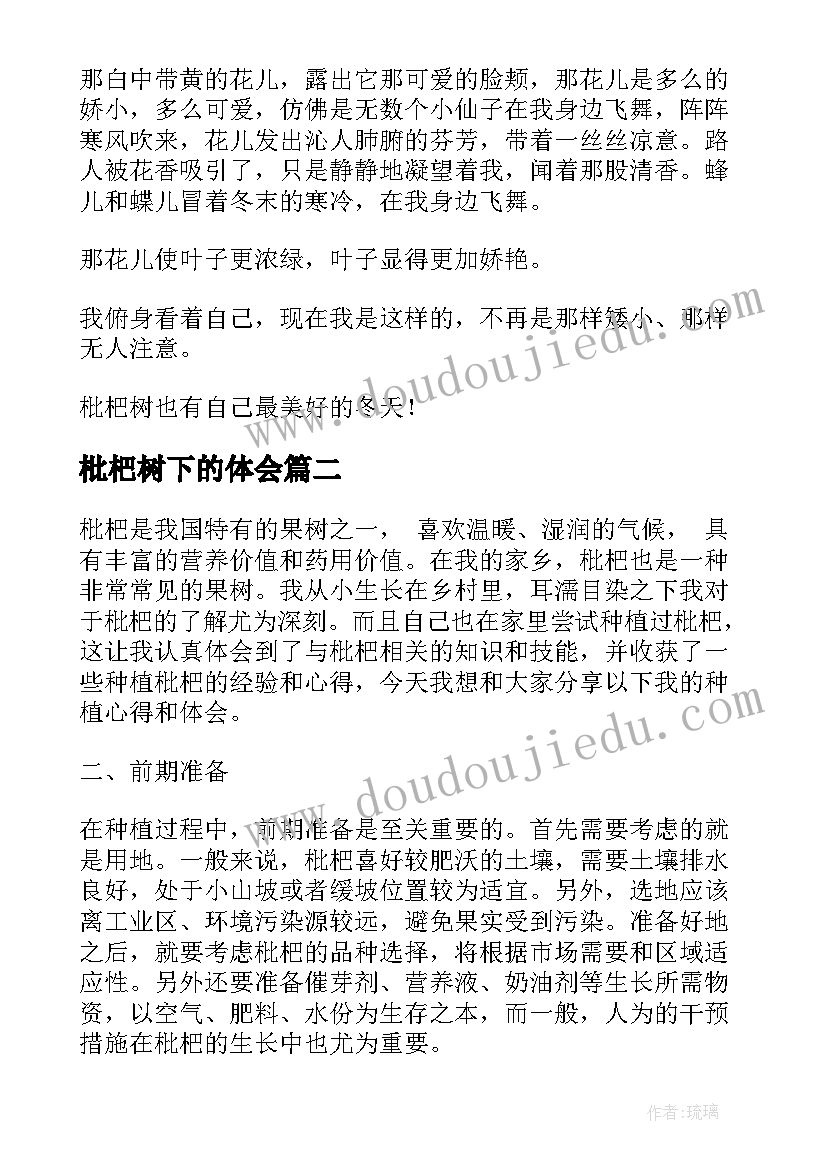 2023年枇杷树下的体会(通用10篇)