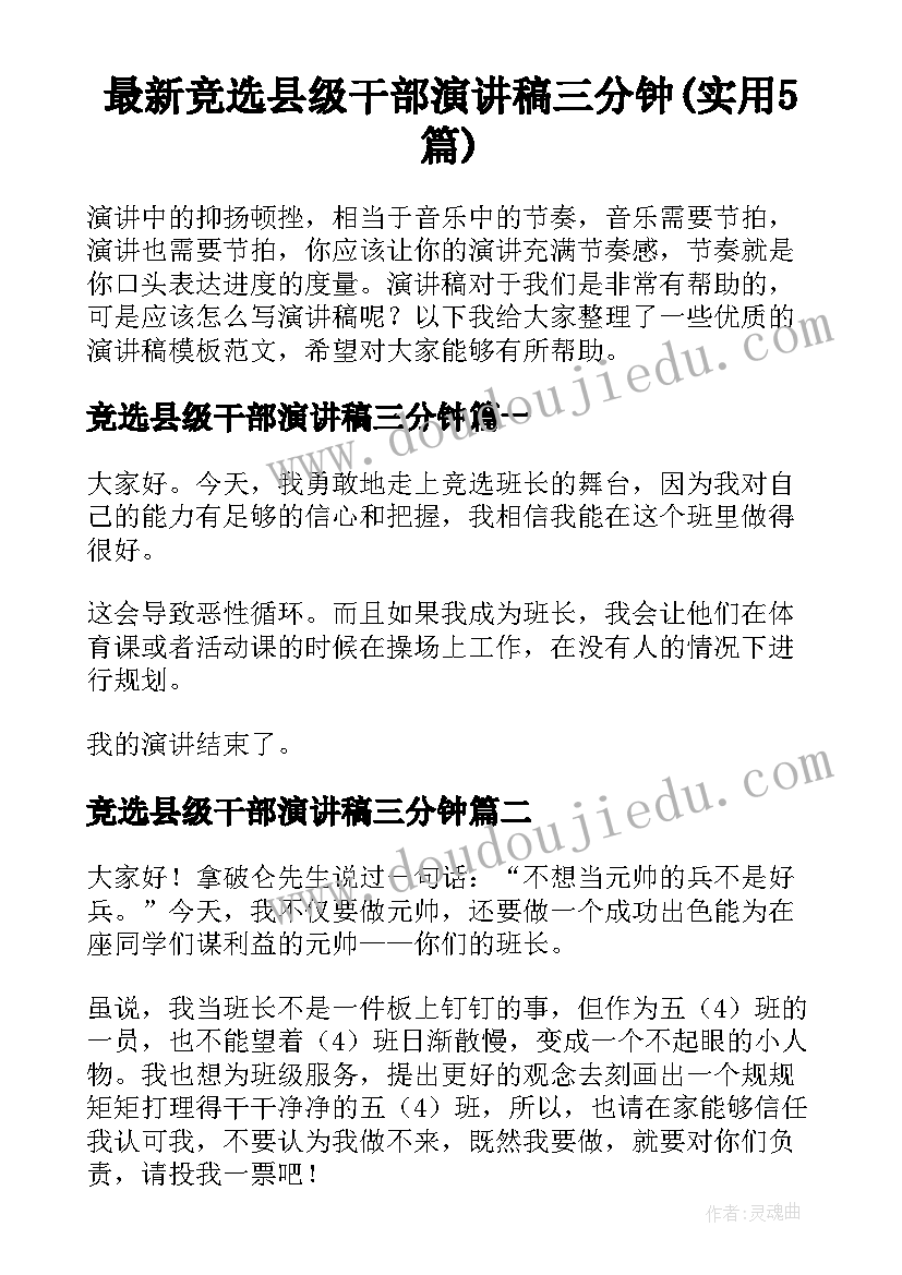 最新竞选县级干部演讲稿三分钟(实用5篇)