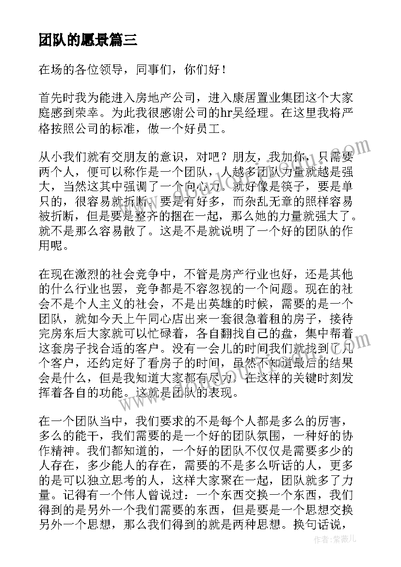 2023年团队的愿景 团队的演讲稿(通用6篇)