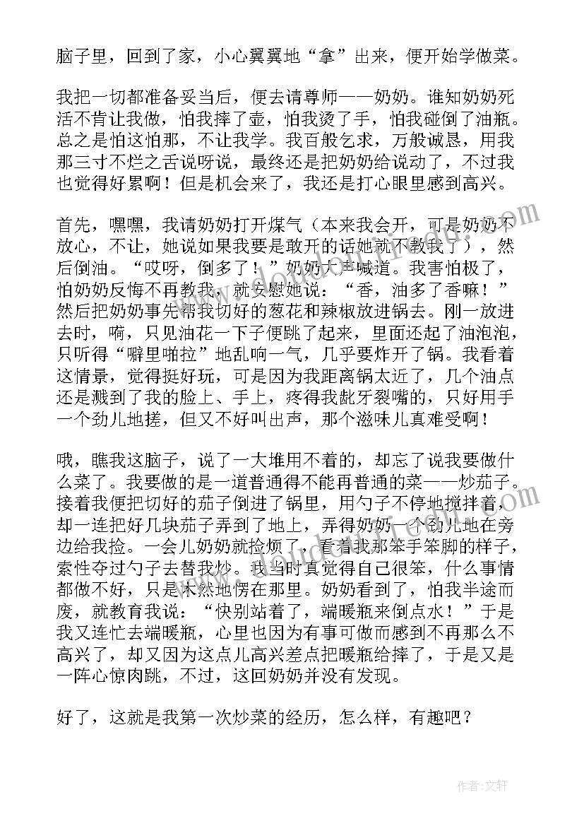 2023年做菜的演讲稿 我第一次炒菜(模板9篇)