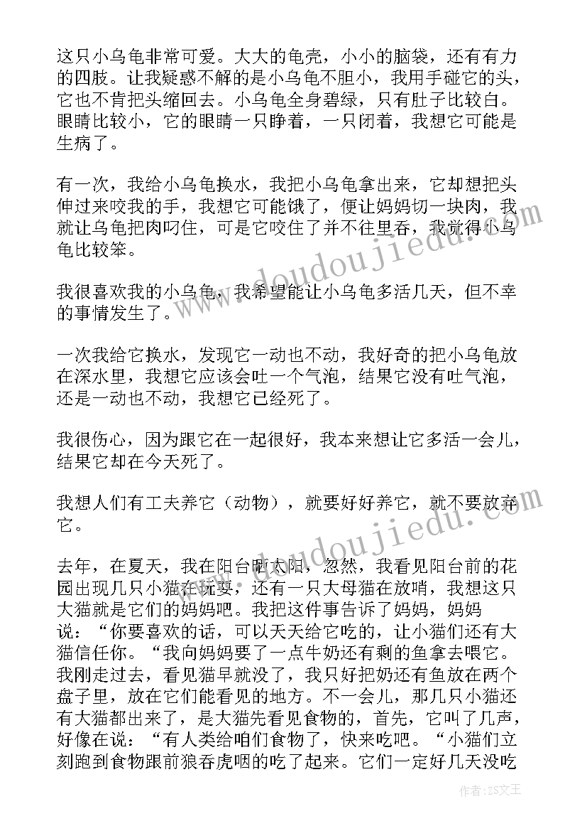 最新幼儿保护眼睛的演讲稿(实用7篇)