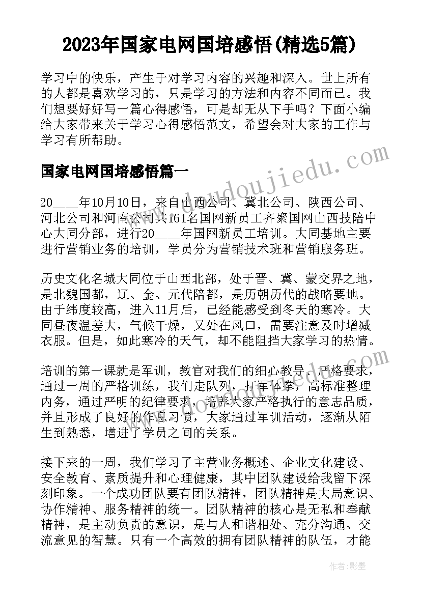 2023年国家电网国培感悟(精选5篇)