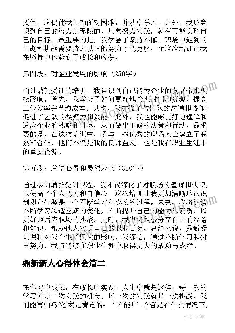 2023年鼎新新人心得体会(通用10篇)