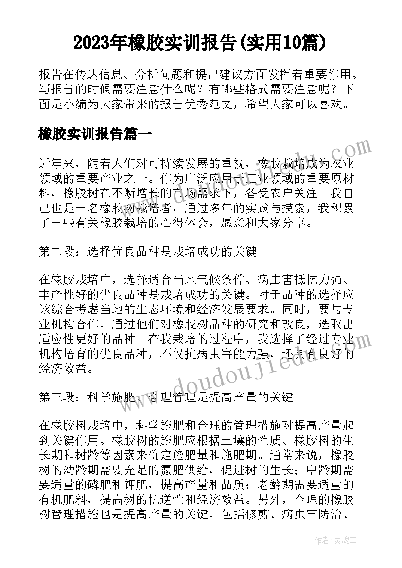 2023年橡胶实训报告(实用10篇)