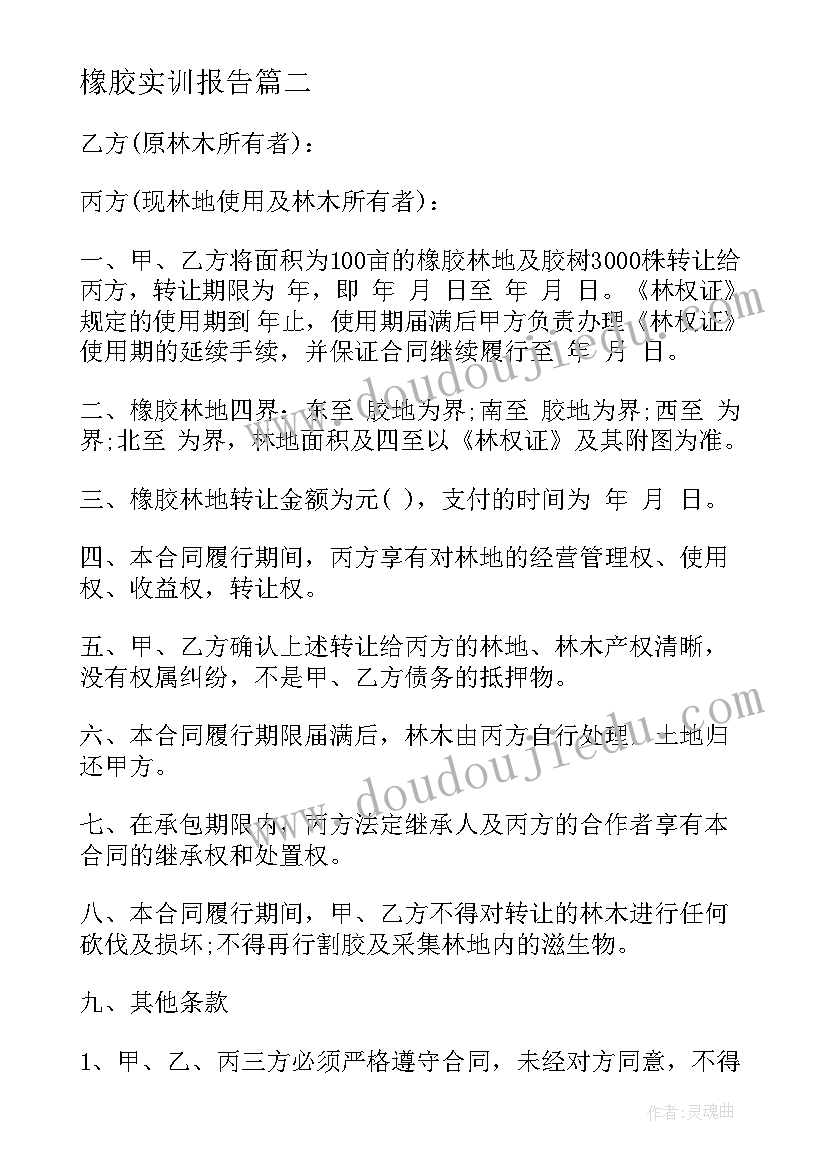 2023年橡胶实训报告(实用10篇)