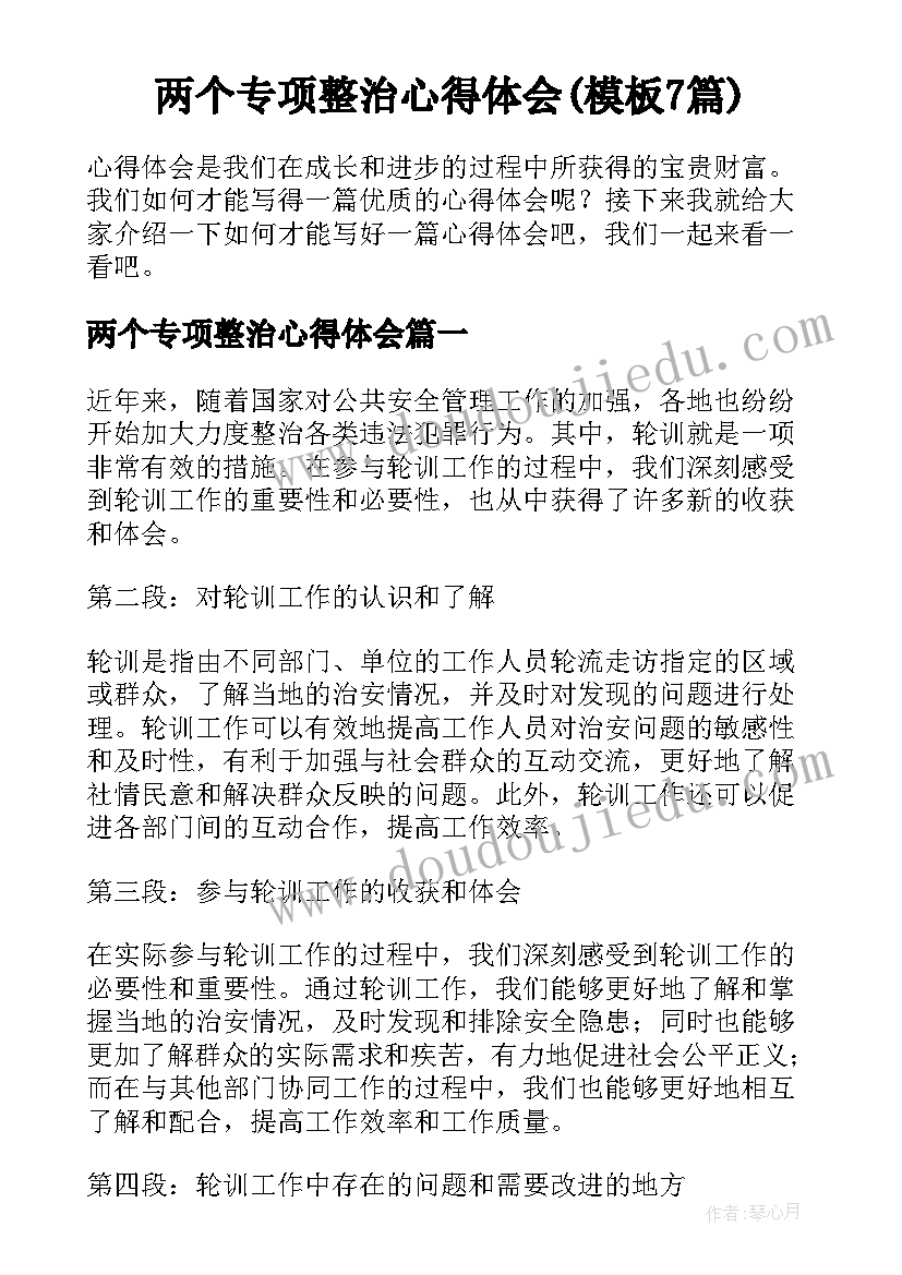 两个专项整治心得体会(模板7篇)